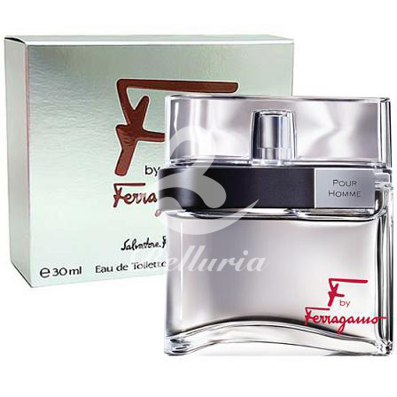 Ferragamo F by Ferragamo Pour Homme