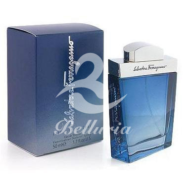 Ferragamo Subtil Pour Homme